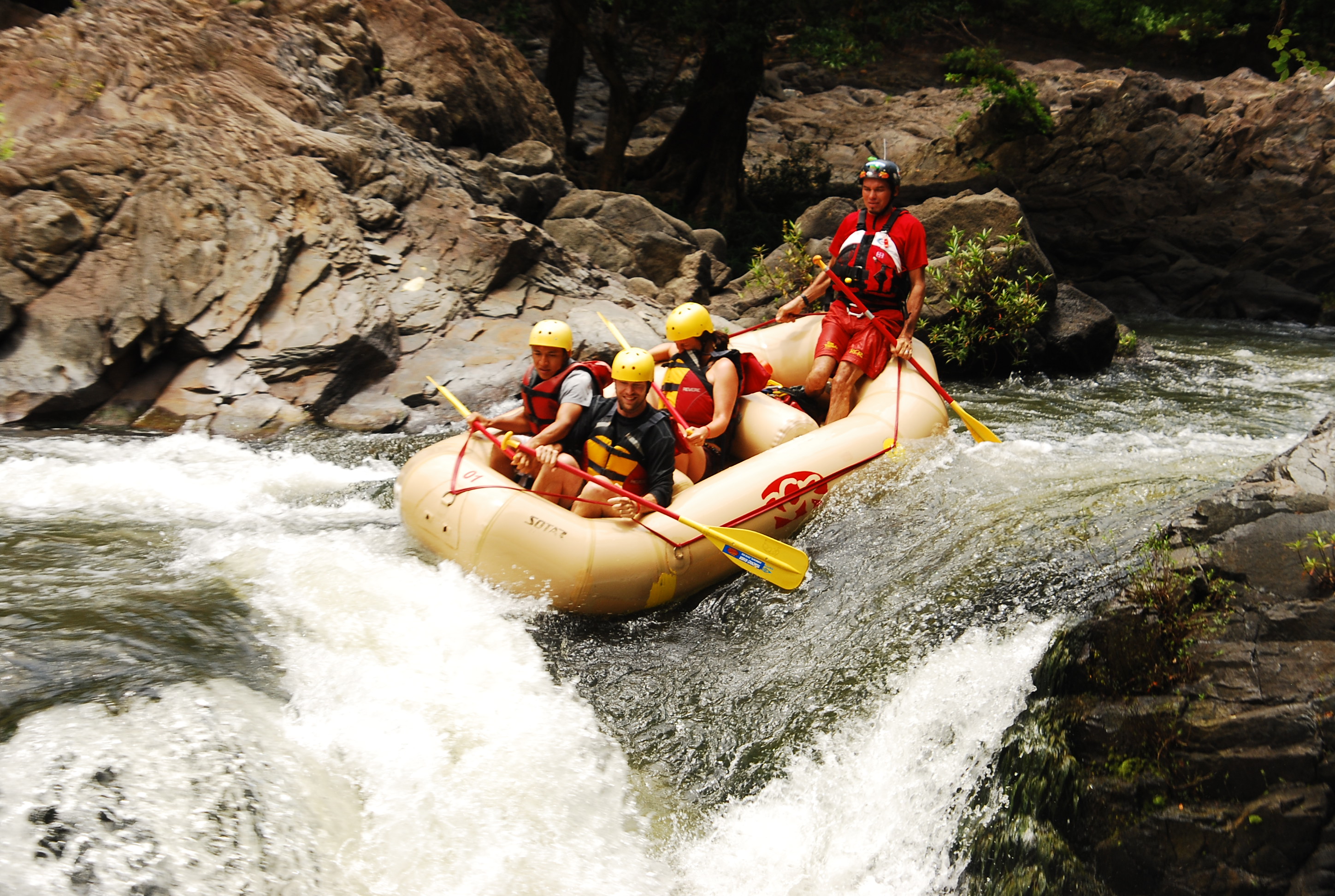 Toucans tours in guanacaste area, costa rica